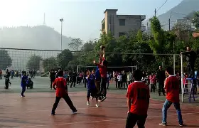 世界体育壮观绽放，运动赛场梦想起航