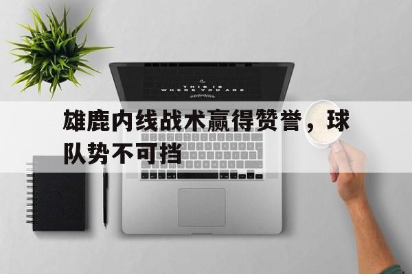 九游体育官网-关于雄鹿内线战术赢得赞誉，球队势不可挡的信息